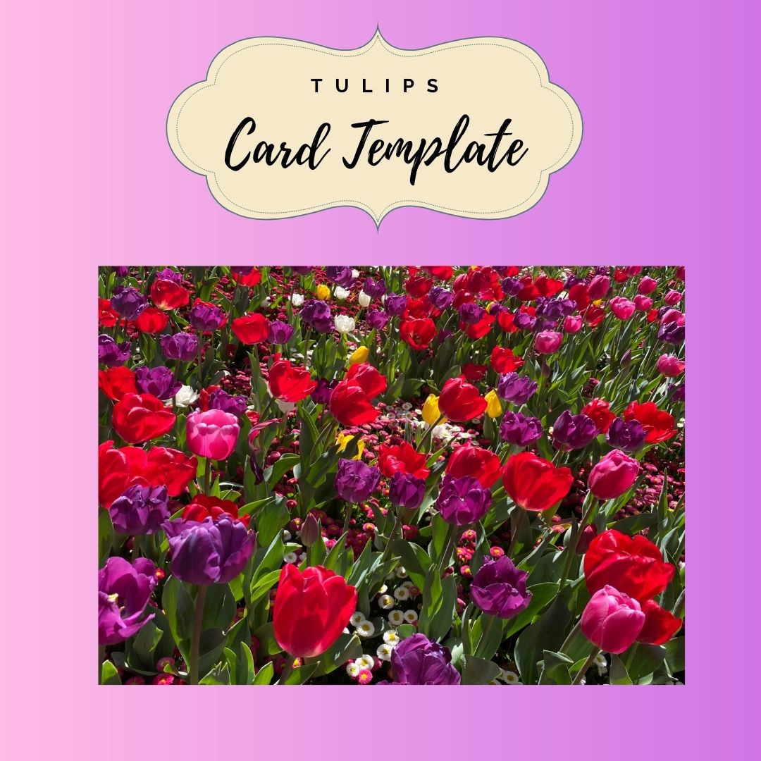 Tulip Card Template
